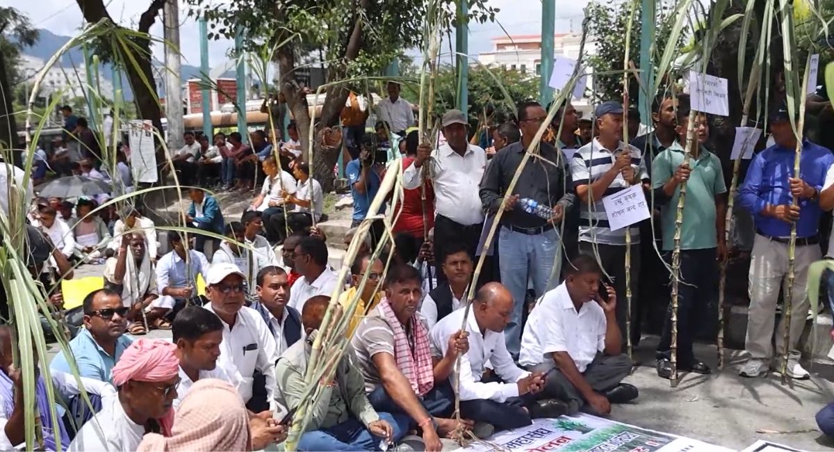बक्यौता भुक्तानीको माग गर्दै उखुसहित माइतीघरमा किसानको धर्ना