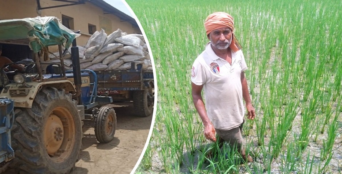 मल अभावले धनुषाका किसान चिन्तित, ‘रोपाइँ सकियो, अब मल नपाए बाली कसरी सप्रिन्छ?’