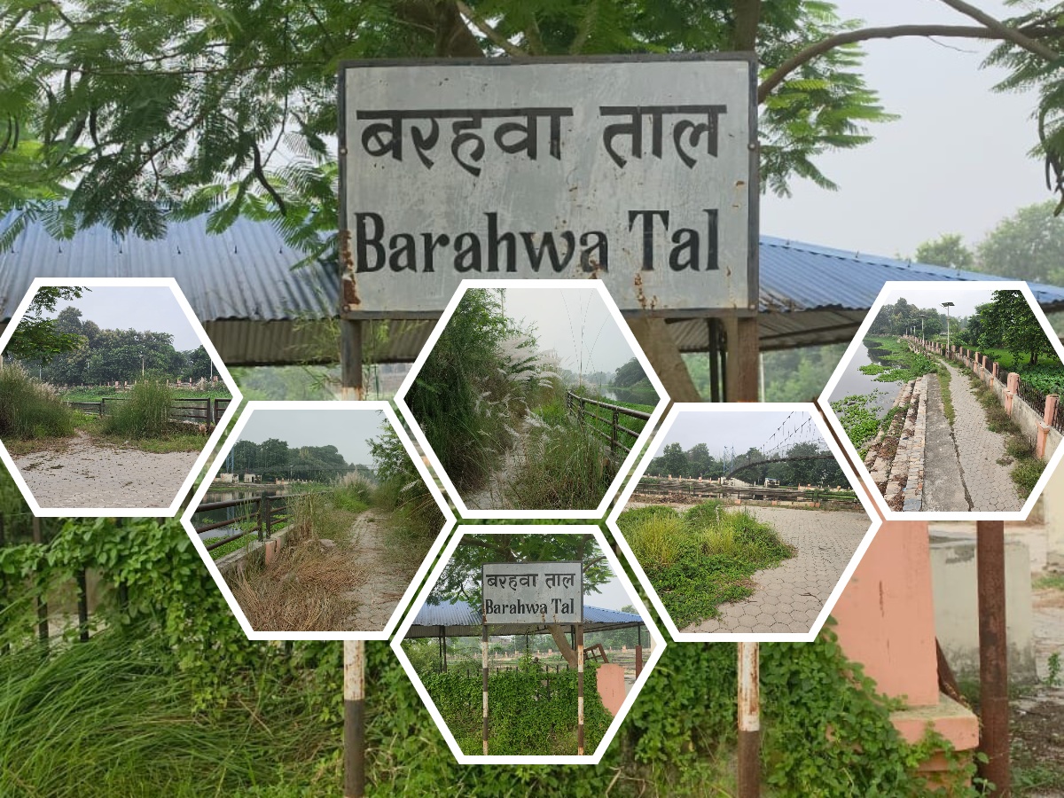 कहिल्यै गौरको गौरव मानिएको बरहवा ताल आज बेहाल, करोडौँको लगानी संरक्षण अभावमा जीर्ण