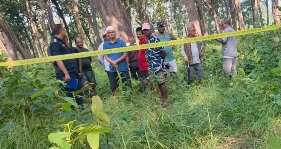 कैलालीमा बाघको आक्रमणबाट एक जनाको मृत्यु, दुई जना भागेर बाँचे
